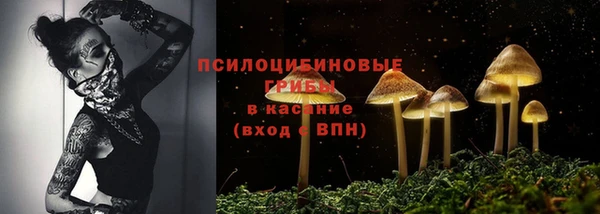стафф Алзамай