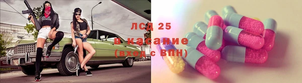 стафф Алзамай