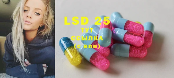 стафф Алзамай