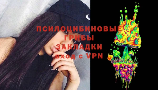 стафф Алзамай