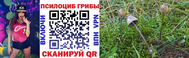 где купить наркоту  ссылка на мегу маркетплейс  Галлюциногенные грибы Psilocybine cubensis  Лукоянов 